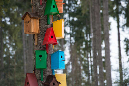 Lots of colorful wooden birdhouses on a tree against roof in snow. Winter timeの写真素材