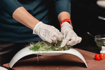 Girls hands in a white gloves take a spours of green cress in a white plateの写真素材