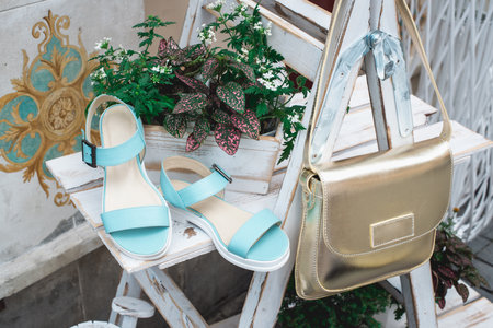luxury fashion woman accessories, blue shoes and handbag, little evening purse, elegant style, sandals footwearの写真素材