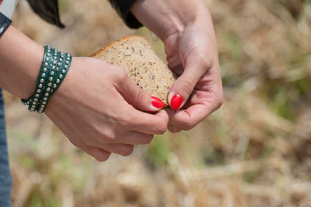 Young woman holding in hands slice of bread. Birds feeding, with bread