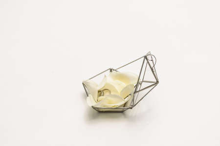 Gold wedding rings on flower petals in a metal box