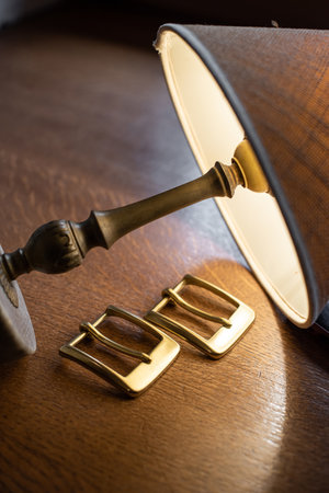 Set of decorative buckles made of metal.の写真素材
