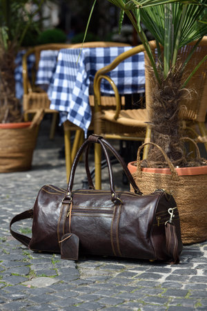 Vacation concept, large classic brown leather travel bag near the palm treeの写真素材