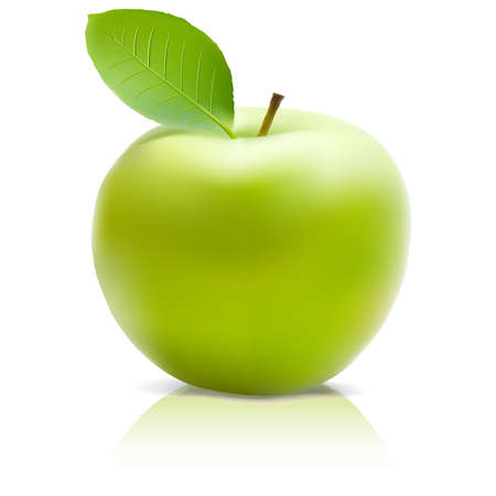 Green Apple with green leafのイラスト素材
