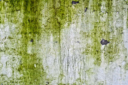 grunge green backgroundの写真素材