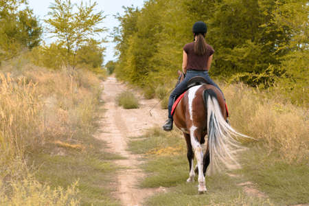 A girl in a black helmet, dark pants and a brown T-shirt with a dressage whip in her hand rides a pinto on a forest road. Vertical photo from the backの写真素材
