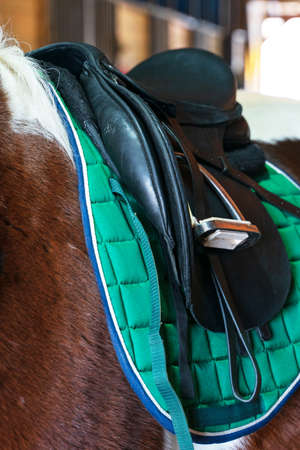 Close-up photo of a saddled horse showing black saddle, green saddle cloth and bridle reinの写真素材