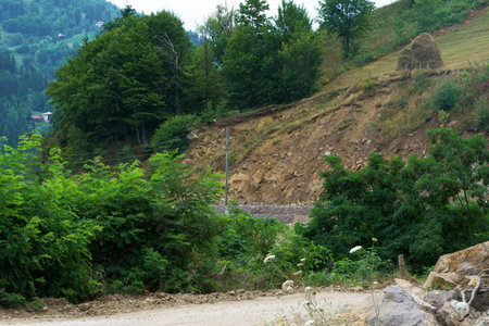 Mountain rural road, around the forest and hay mowed on the slopes in stacksの写真素材