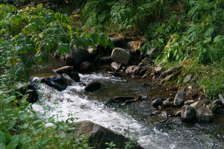 Mountain river flows over rocks