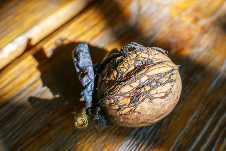 The walnut lie on a wooden table, the photo is fully revealed.
