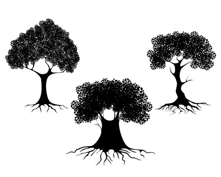 Vector illustration of a three trees silhouettesのイラスト素材