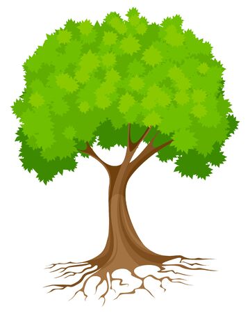 Vector illustration of a abstract green treeのイラスト素材