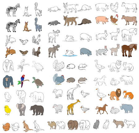Vector illustration of a different animals setのイラスト素材