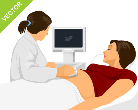 Vector illustration of a pregnant doing ultrasonographyのイラスト素材