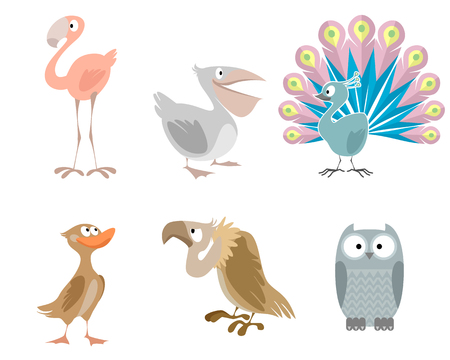 Clip Art Bird Vector Graphics Funny - Bird Wallpaper