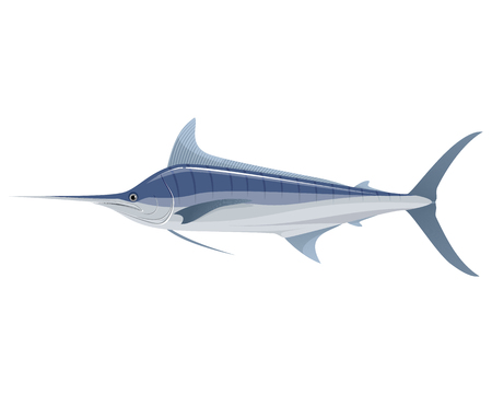 Vector illustration of a big blue marlinのイラスト素材