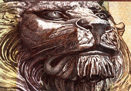 Hong Kong dollarsの写真素材