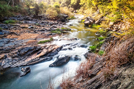 long exposure forestの写真素材