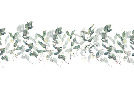 Eucalyptus seamless border, branches with leaves, flowers and shoots in the middle, watercolor on white background. The twigs hand drawn for branding, printing on textile, perfect for home decorationの写真素材