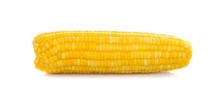 sweet ears of corn isolated on white.の写真素材
