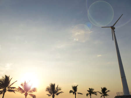 palm tree silhouette with wind turbine