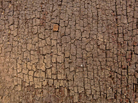 wood crack effect texture on vintage style