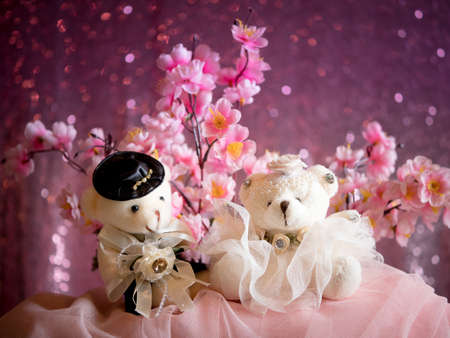 love concept : Couple Teddy Bears in wedding dress , valentine greeting card backgroundの写真素材