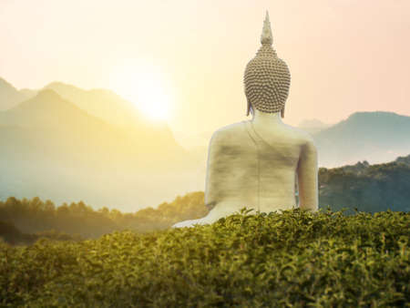 big great powerful Buddha statue in gold color in the middle of green park on the mountain with beautiful sunset or sunrise and wonderful nature scene at background. Buddha image for Buddhistsの写真素材