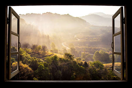 landscape nature view background. view from window at a wonderful landscape nature view with rice...