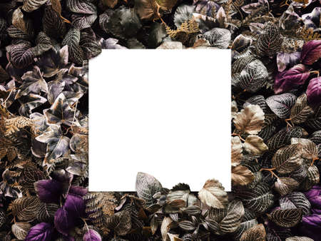 creative layout made of flowers and leaves with copy space from paper card note. flat lay. nature conceptの写真素材
