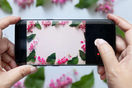woman hands takes flower photo from mobile smart phone or cell phone digital cameraの写真素材