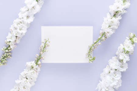 flat lay of luxury blank greeting card decorate with white flower isolated on pastel color...