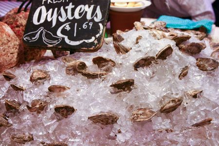 Fresh Oysters on ice for sale.の写真素材