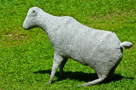 wire sheepの写真素材