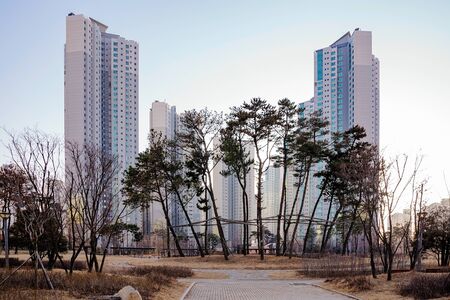 generic high rise apartment buildings in South Koreaの写真素材