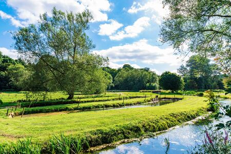 Nature with stream and blue sky in the countryside