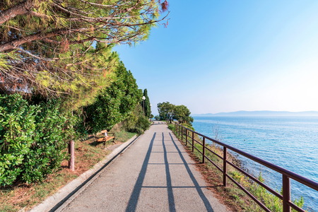 Scenic walking path by the seaの写真素材