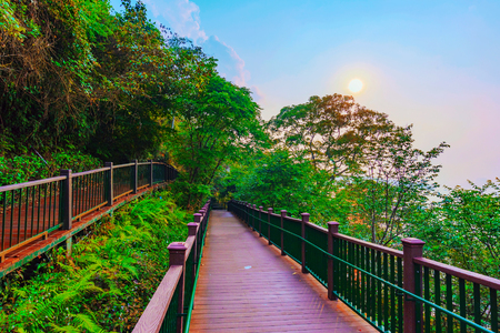 Path with sunset and forest in Sun Moon Lakeの写真素材