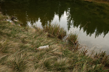 Used old plastic bottle in the grass on the shores of a mountain lake with a reflection of spruce....