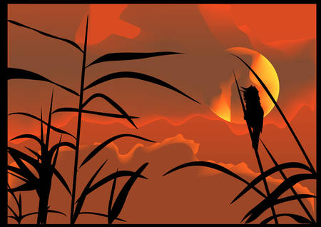 Fiery sunset with outlines of nature and birdsのイラスト素材