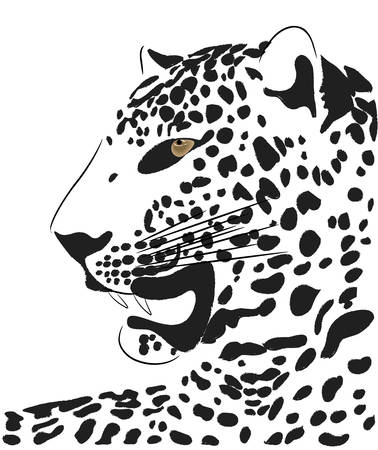 Vector beautiful tigerのイラスト素材