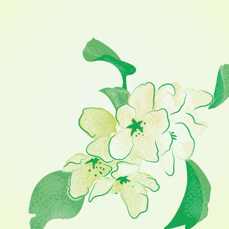  floral designのイラスト素材