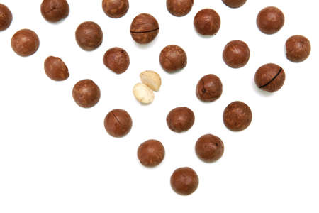Shelled and unshelled macadamia nuts on white background.の写真素材