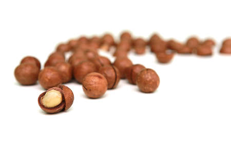 Shelled and unshelled macadamia nuts on white background.の写真素材