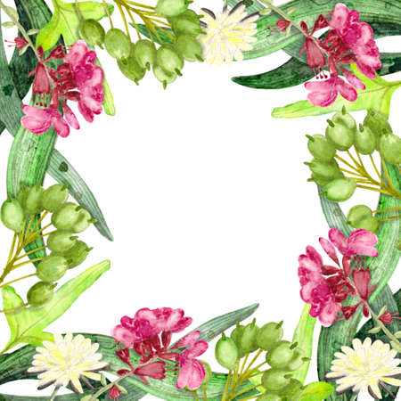 Watercolor floral wreath with herbs leaves plants for design, invitation, greeting cardの写真素材