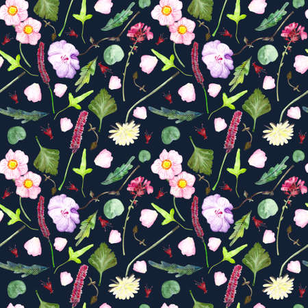 Spring Watercolor Forest Pattern Seamless wild natural eco texture with herbs leaves plants and flowers on white black backgroundの写真素材