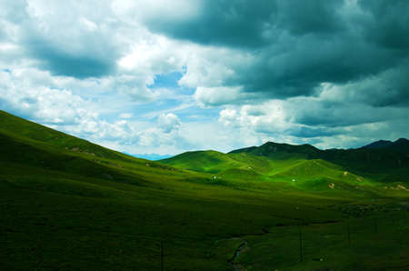 Qinghai plateau, Prairieの写真素材