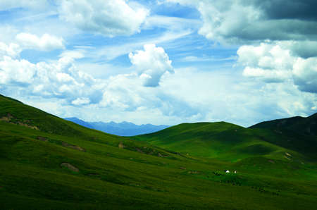 Qinghai grasslandの写真素材