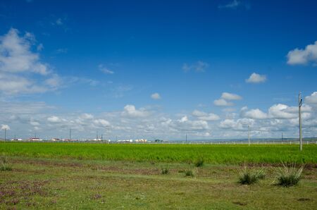 Qinghai grasslandの写真素材