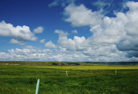 Qinghai grasslandの写真素材